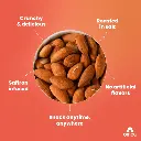 Almonds_3_2ae9d929-d627-4801-8a3f-4128b7a1da1c_2048x.webp