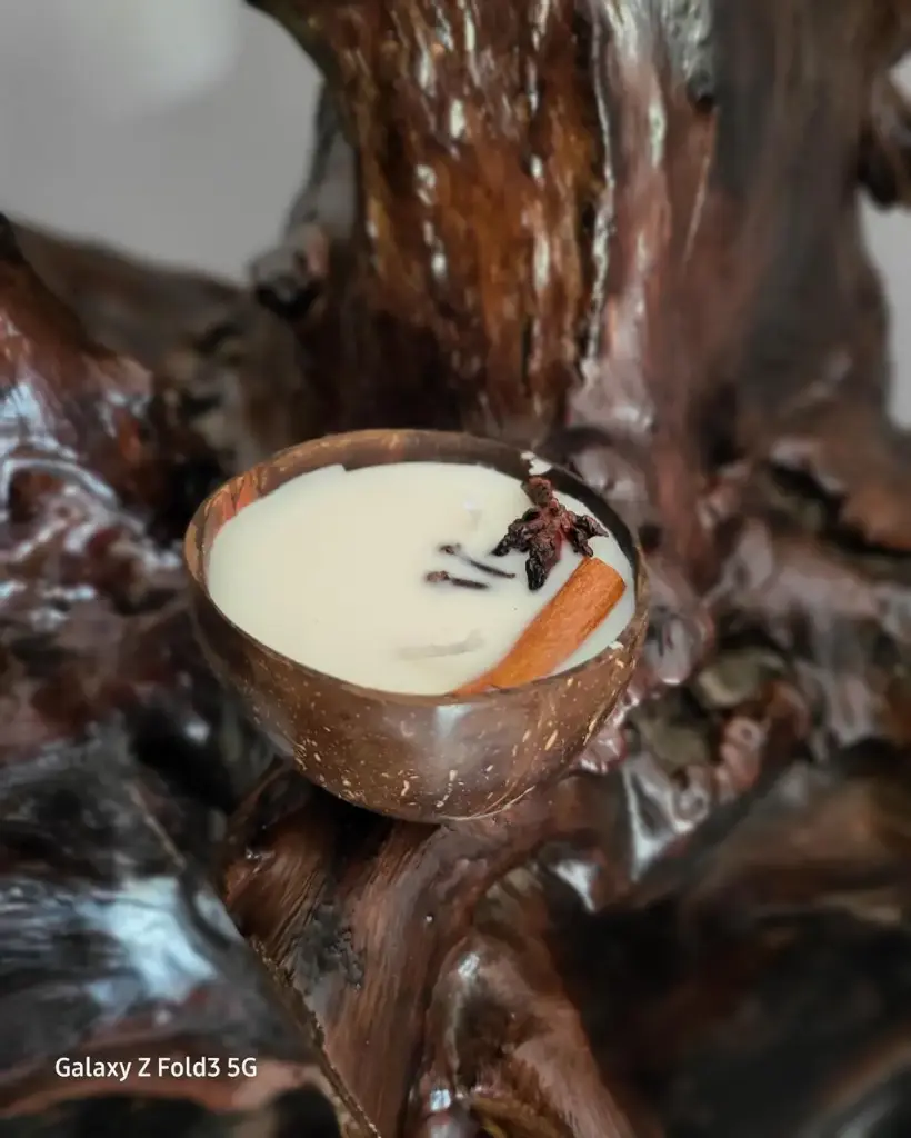 Cocunut Shell Candle