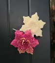 Flower Candle