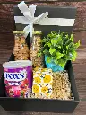 Elegance Essentials Hamper