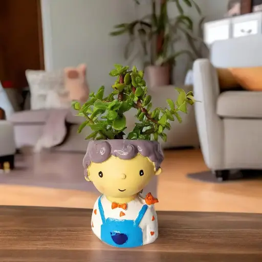 Hand painted Plant pot (MOQ - 50pieces)