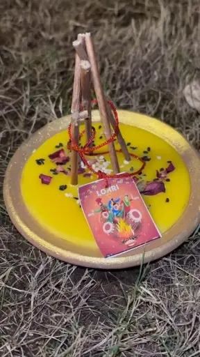 Holi Special Candle