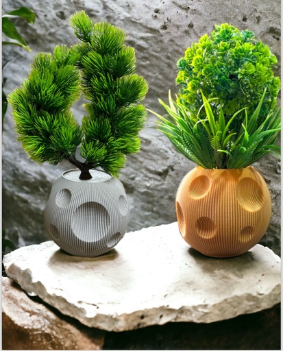 Moon Planter