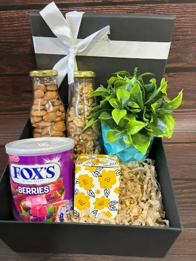 Elegance Essentials Hamper